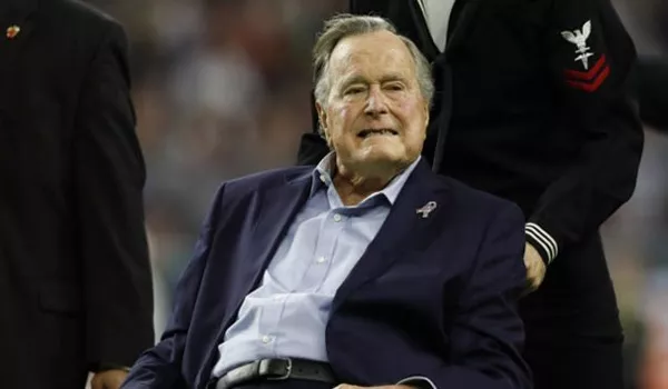 bush